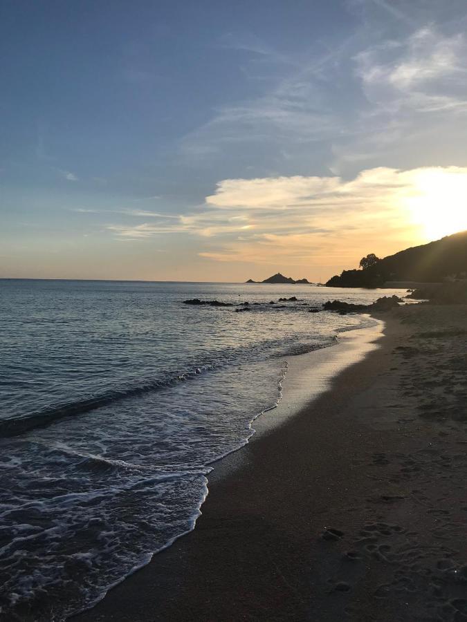 Magnifique Villa Recente Entre Mer Et Montagne Situee Entre Ajaccio Et Porticcio Cauro المظهر الخارجي الصورة
